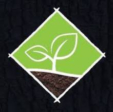 Paysagiste professionnel spécialisé en création et aménagement de jardins sur mesure à Toulouse et en Haute-Garonne.
